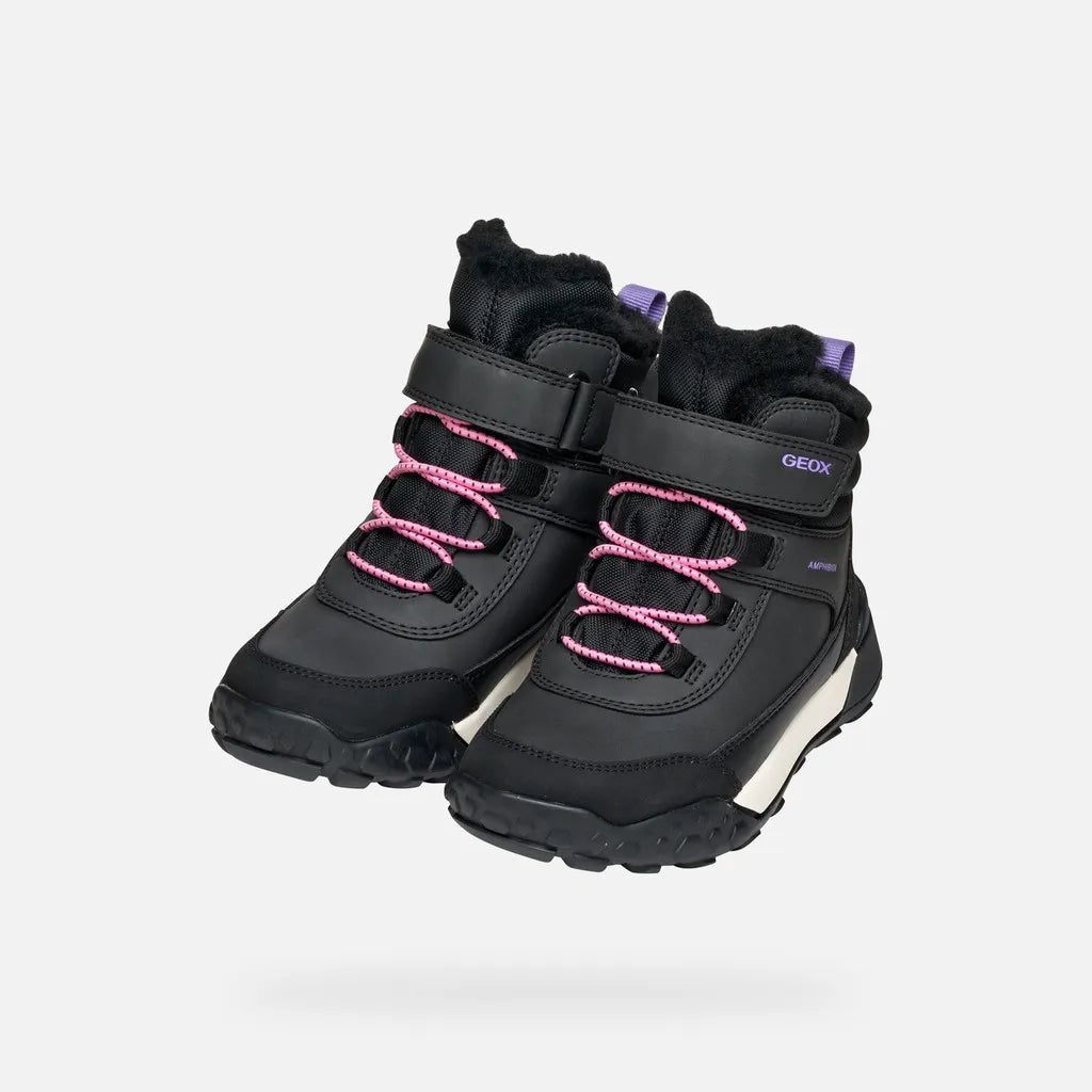 Black/Lilac