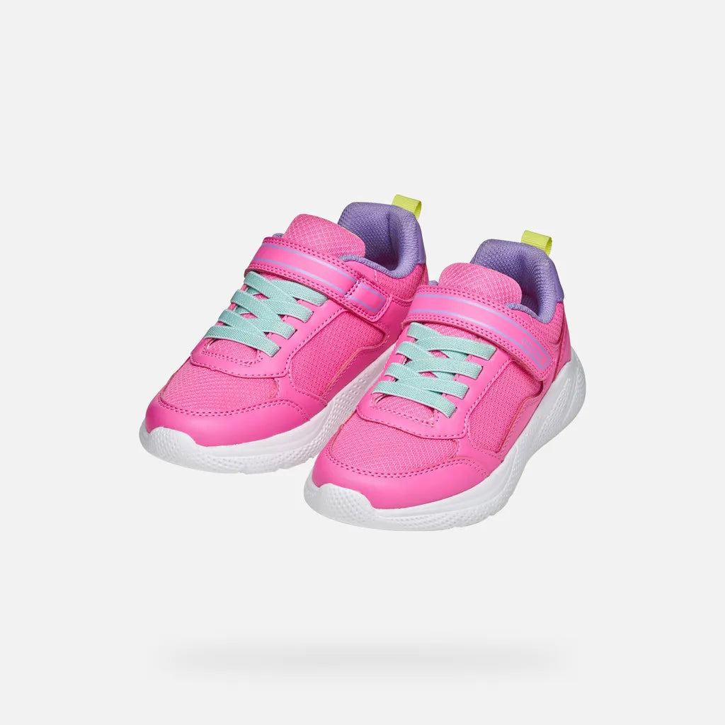 Fluo fuchsia/Dark lilac