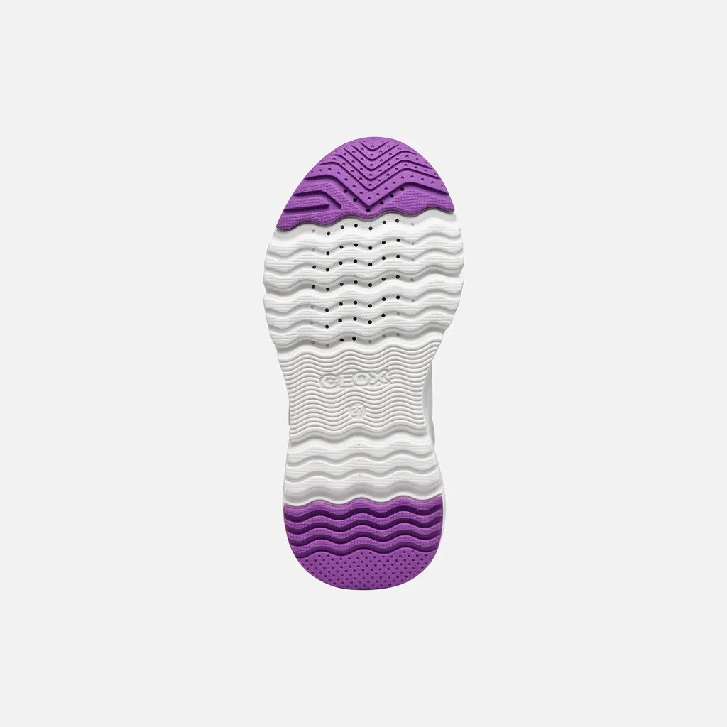 White/Dark Purple