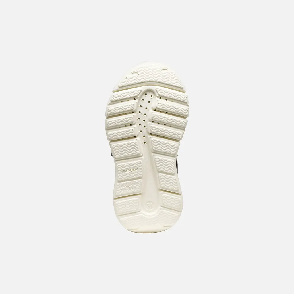 Navy/White