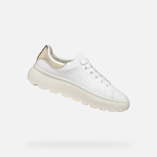White/Light Gold