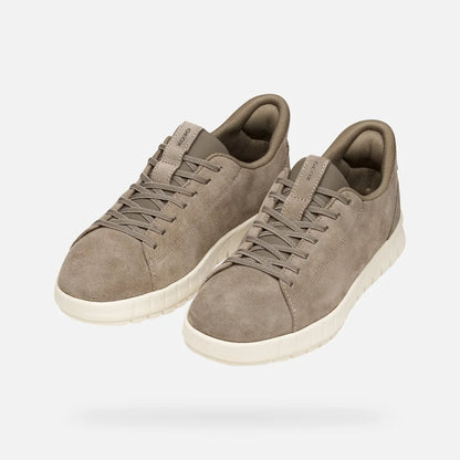 Dove Gray