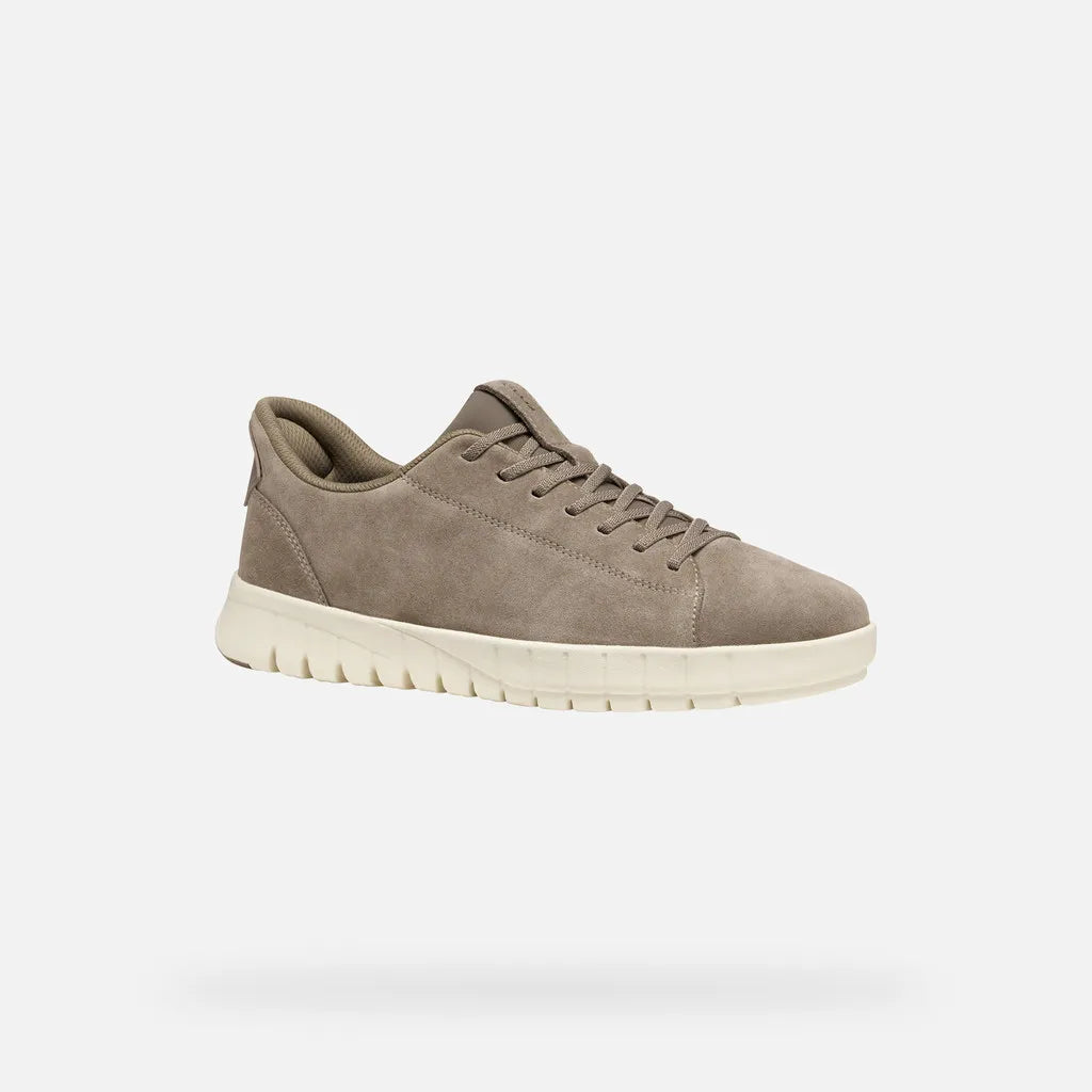 Dove Gray