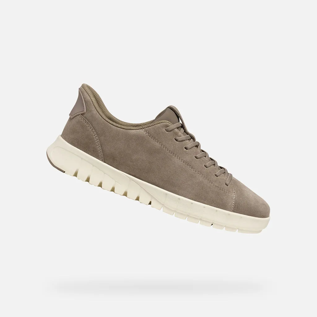 Dove Gray