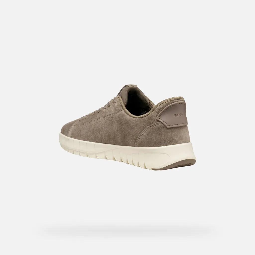 Dove Gray