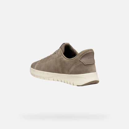 Dove Gray