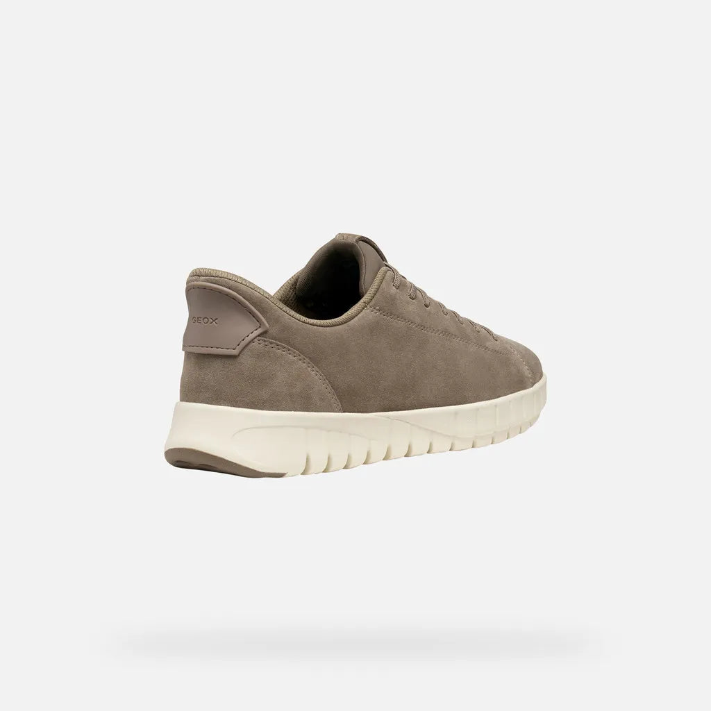 Dove Gray