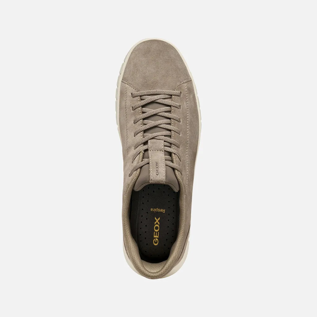 Dove Gray