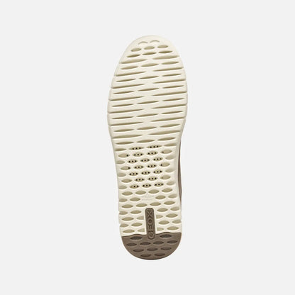 Dove Gray