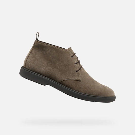 Dove Gray