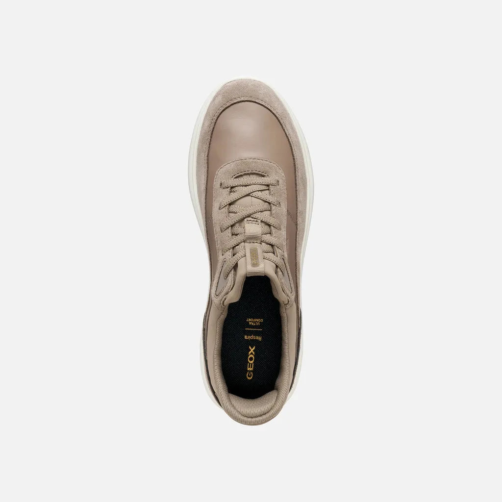 Taupe