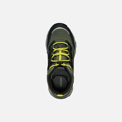 Military/Lime