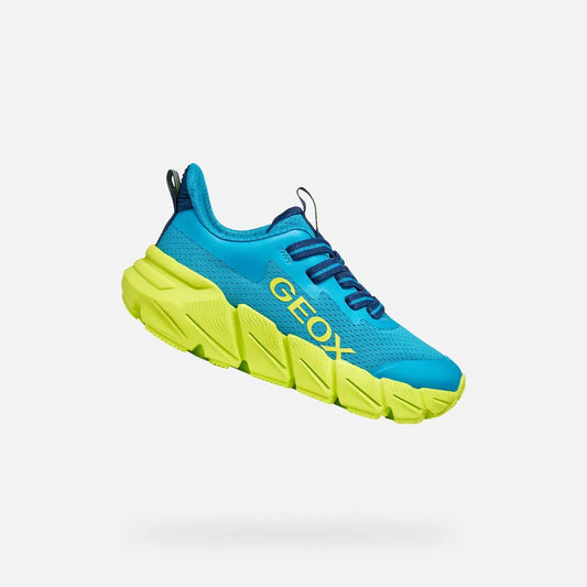 Light Blue/Lime