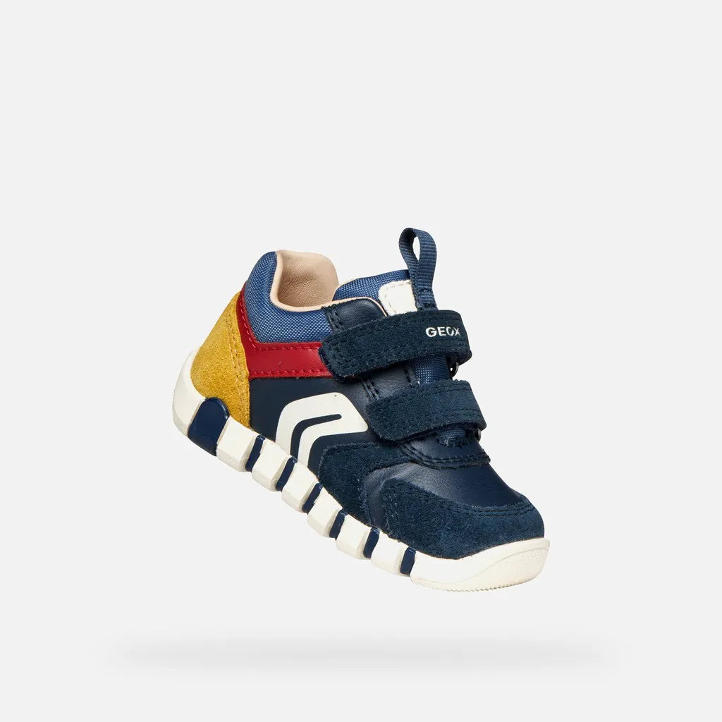 Navy/Dark Red