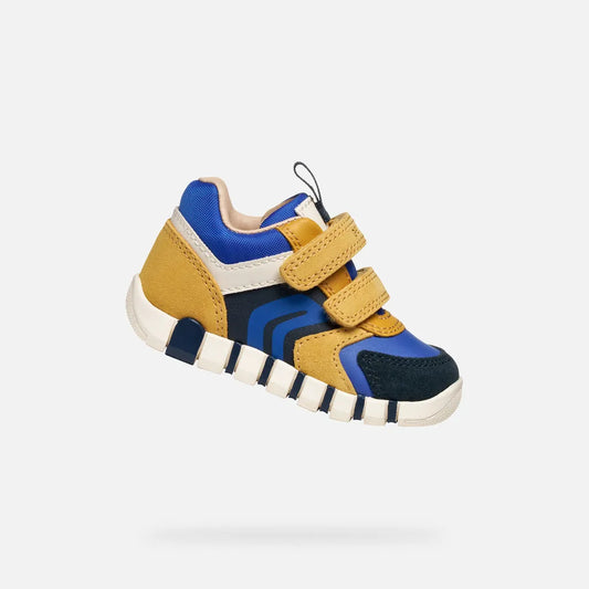 Ochre/Royal