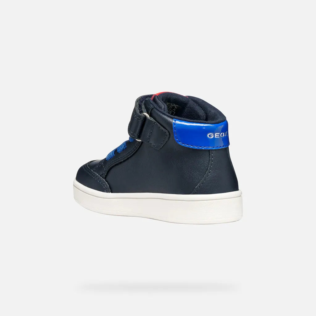 Navy/Royal