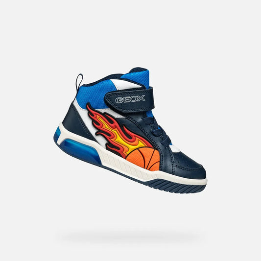 Navy/Light Blue
