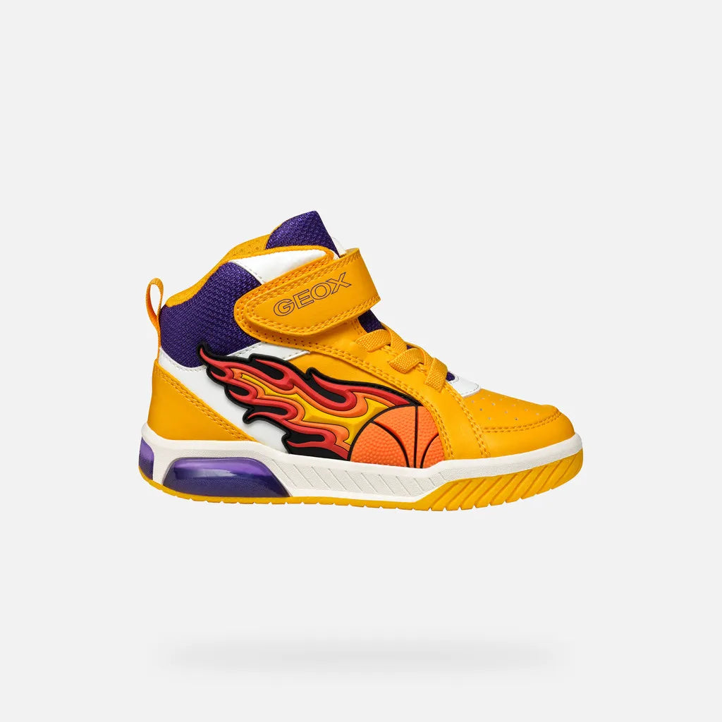 Yellow/Purple