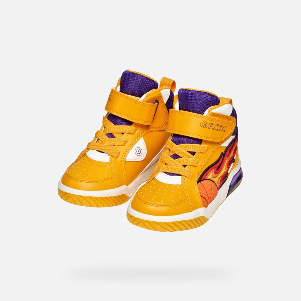 Yellow/Purple