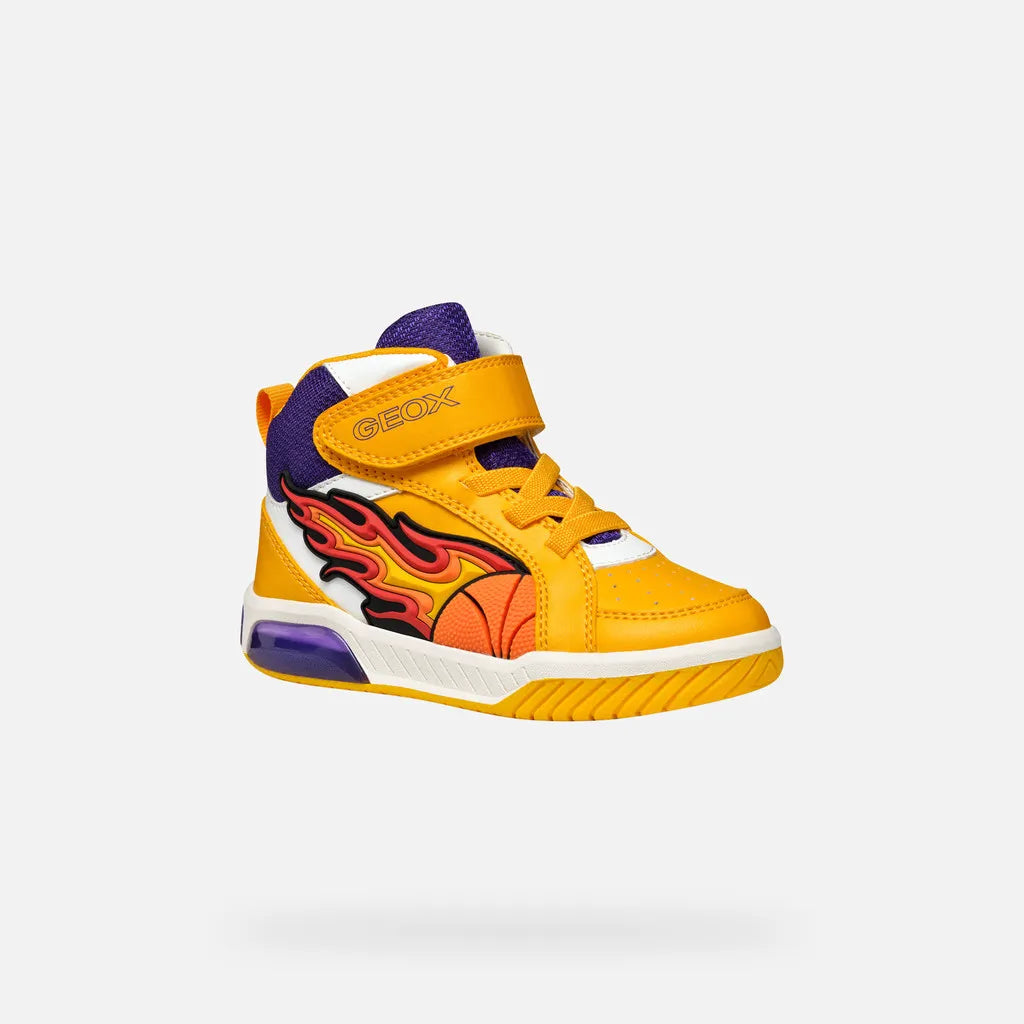 Yellow/Purple