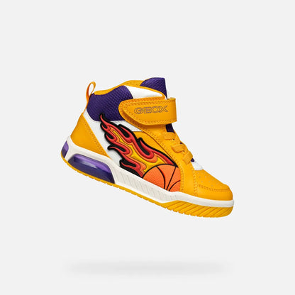Yellow/Purple