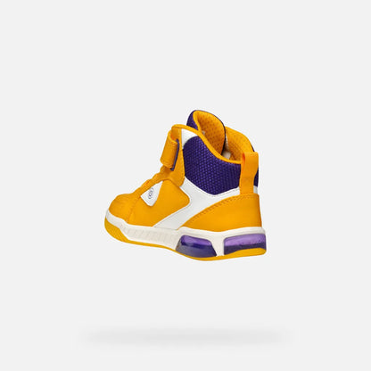 Yellow/Purple