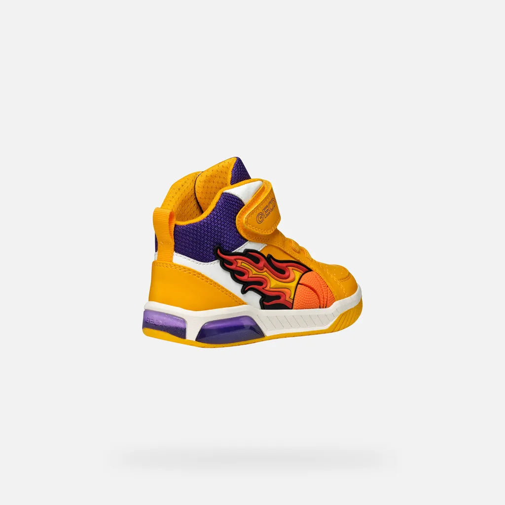Yellow/Purple