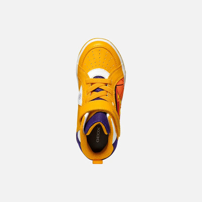 Yellow/Purple