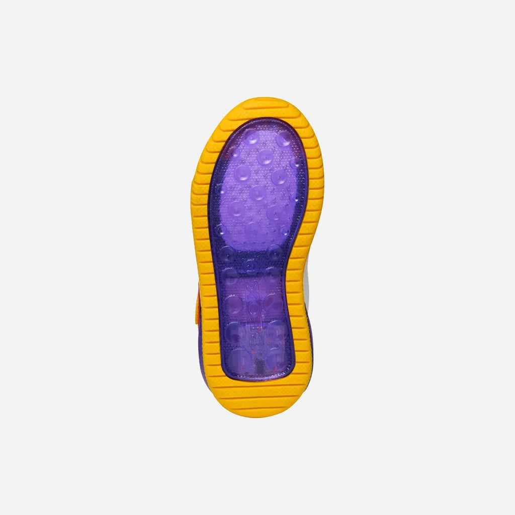 Yellow/Purple