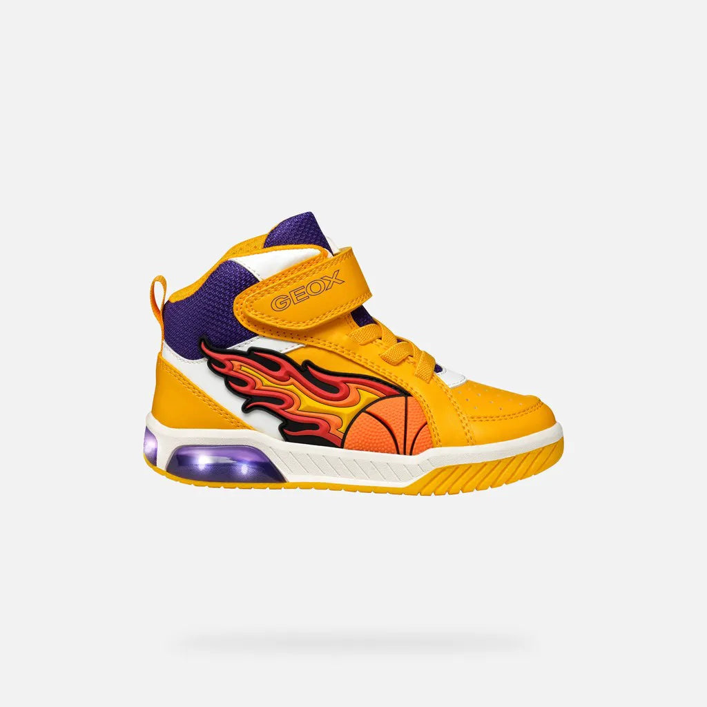 Yellow/Purple