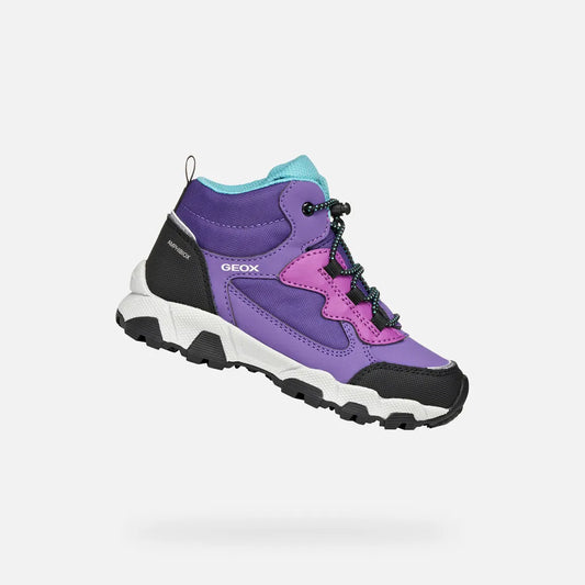 Violet/Purple