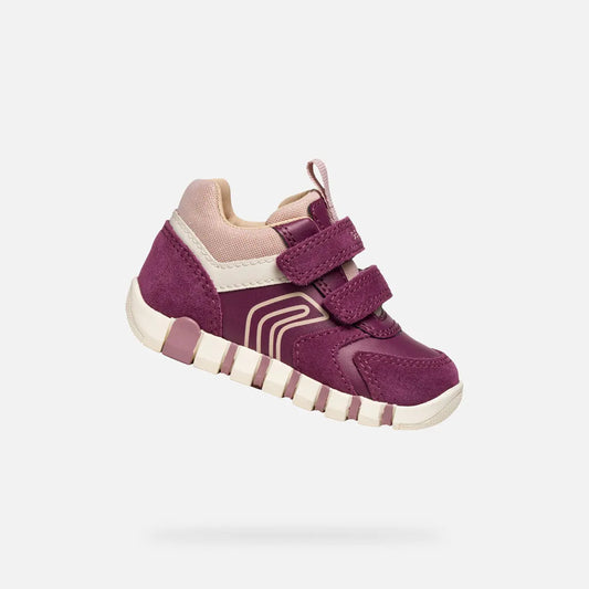 Dark Violet/Pink