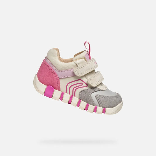 Gray/Fuchsia