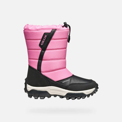 Fuchsia/Black