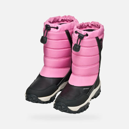 Fuchsia/Black