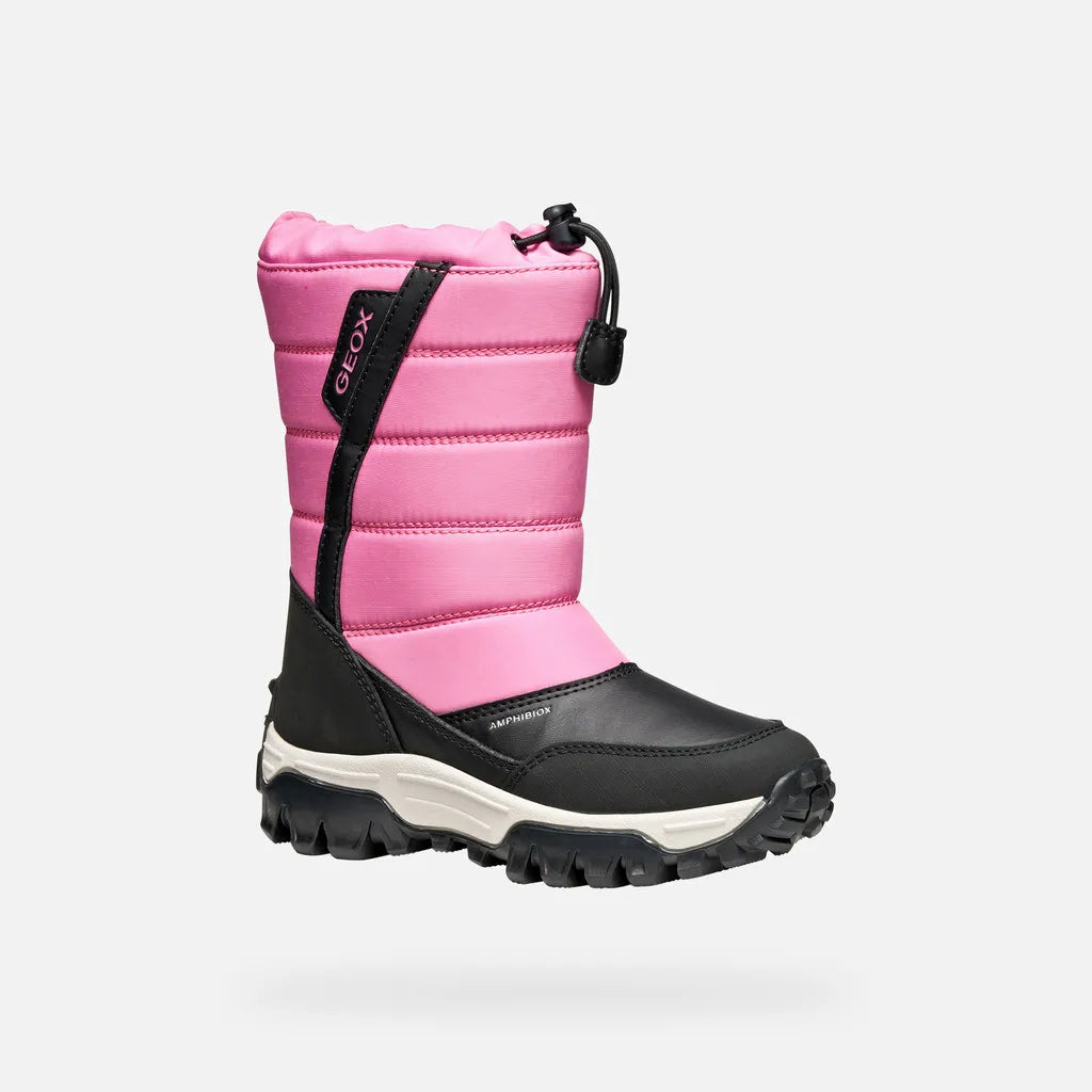 Fuchsia/Black