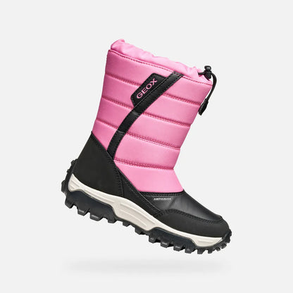 Fuchsia/Black