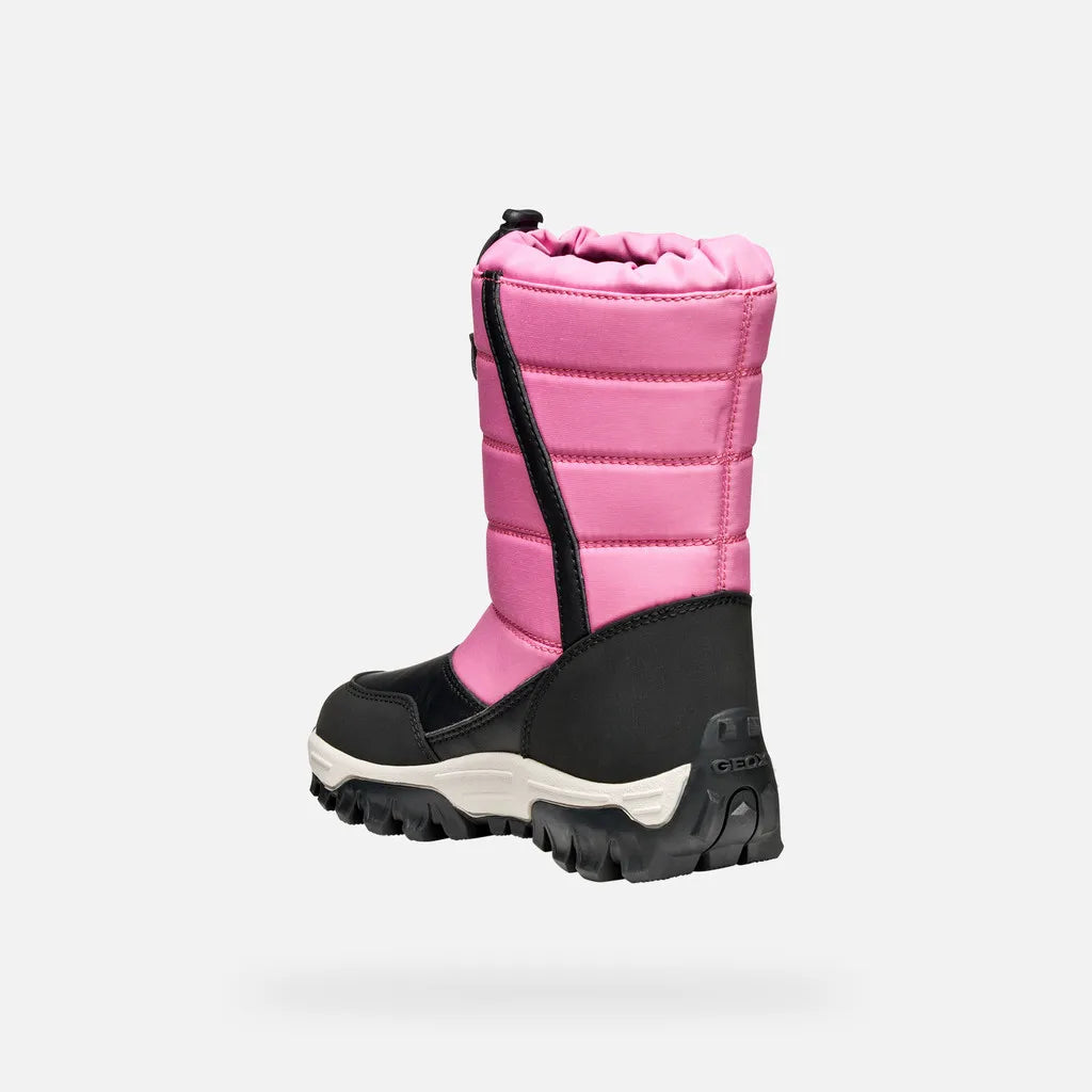 Fuchsia/Black