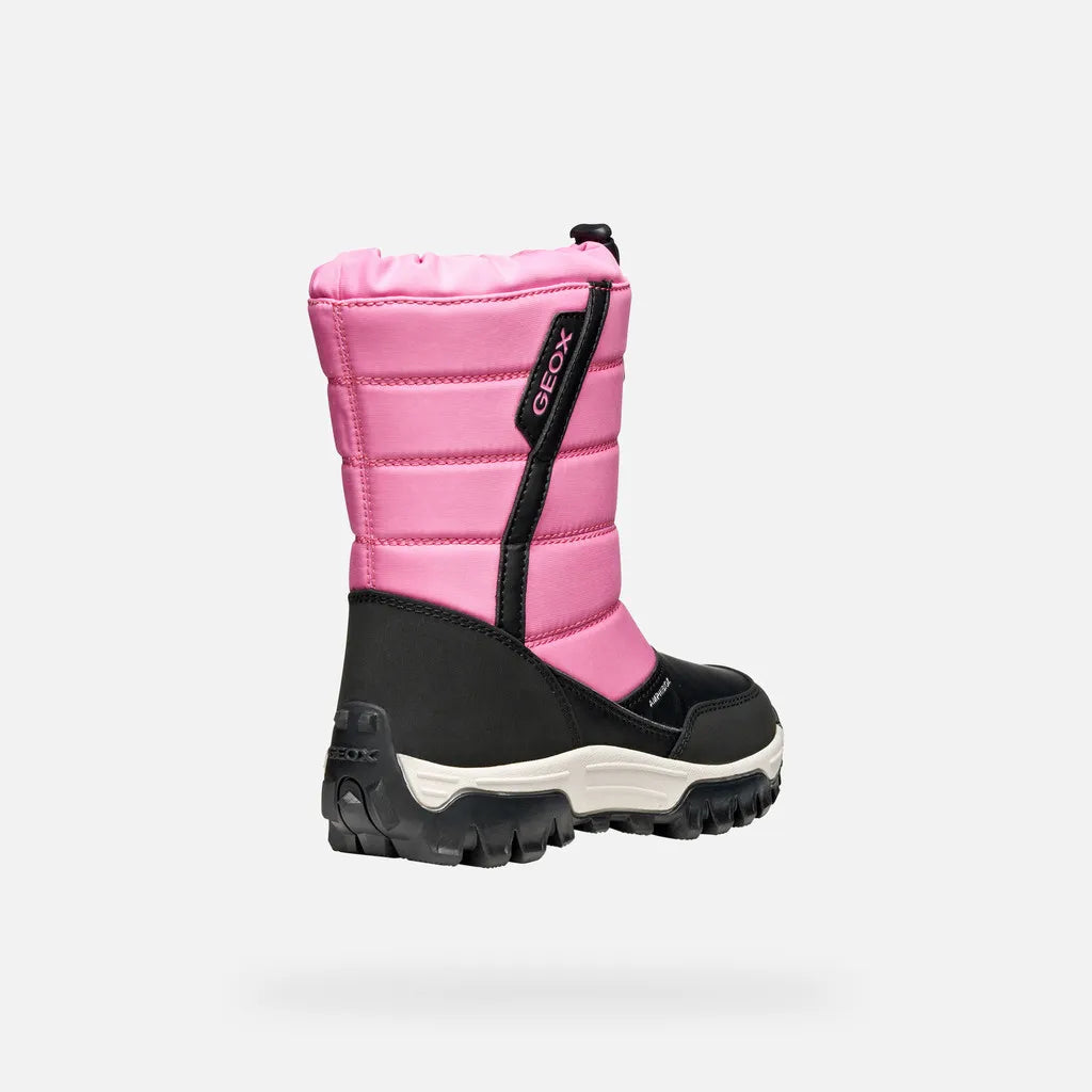 Fuchsia/Black
