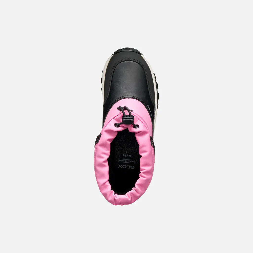 Fuchsia/Black