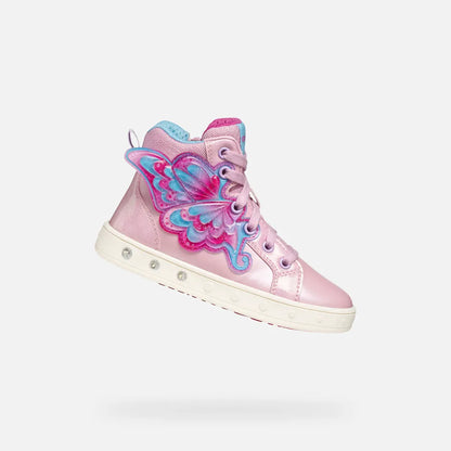 Pink/Fuchsia