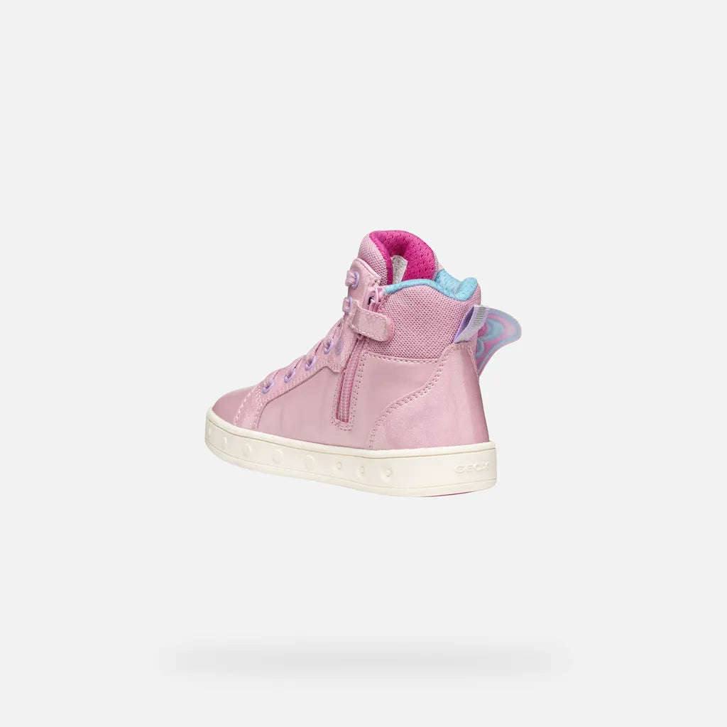 Pink/Fuchsia