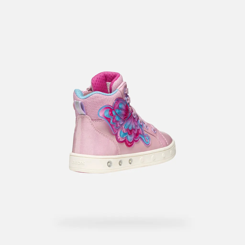 Pink/Fuchsia