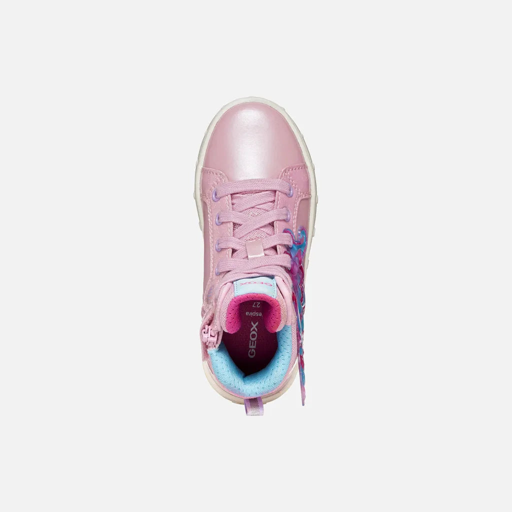 Pink/Fuchsia
