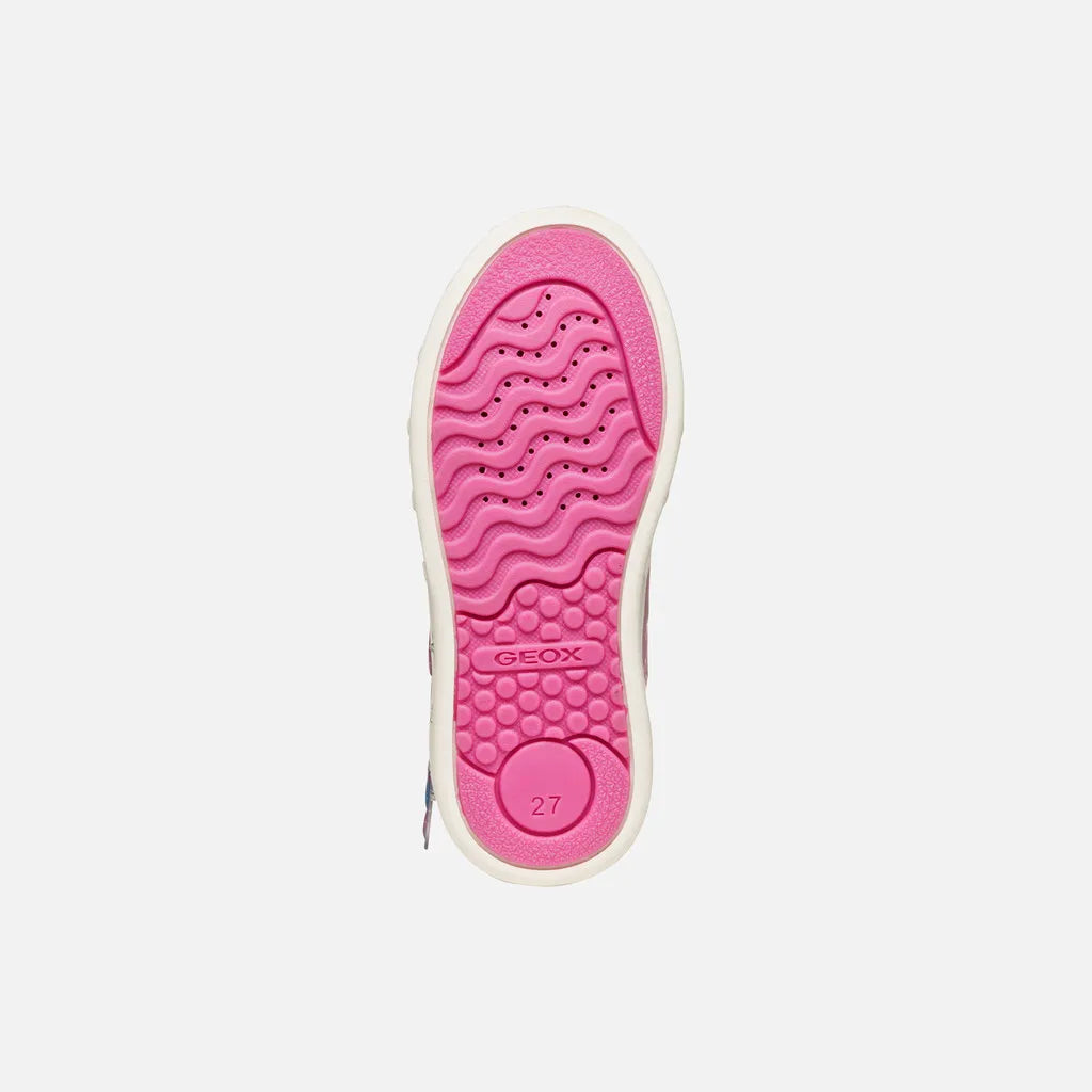 Pink/Fuchsia