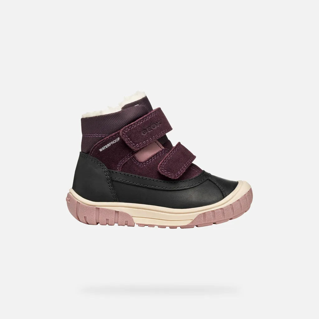 Black/Dark Purple