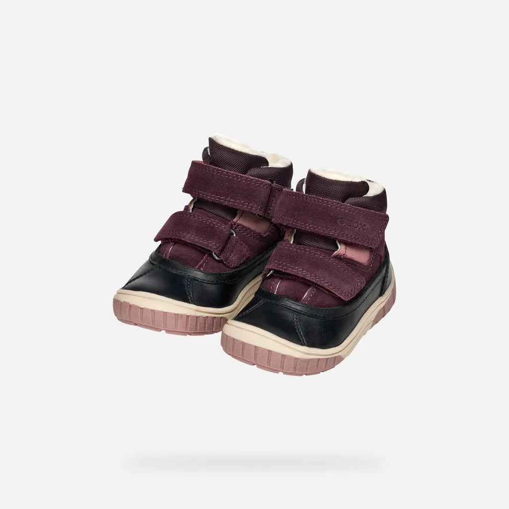 Black/Dark Purple