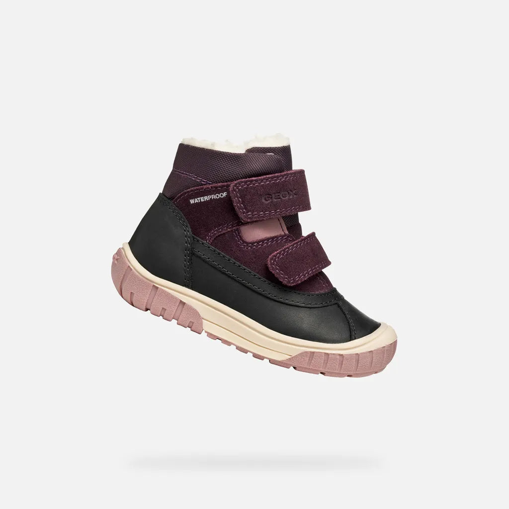 Black/Dark Purple