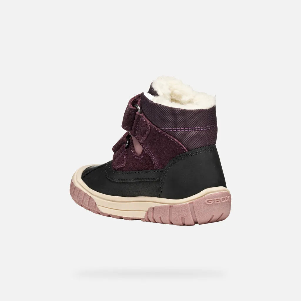Black/Dark Purple