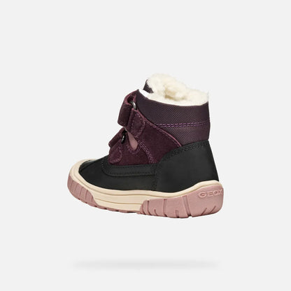 Black/Dark Purple